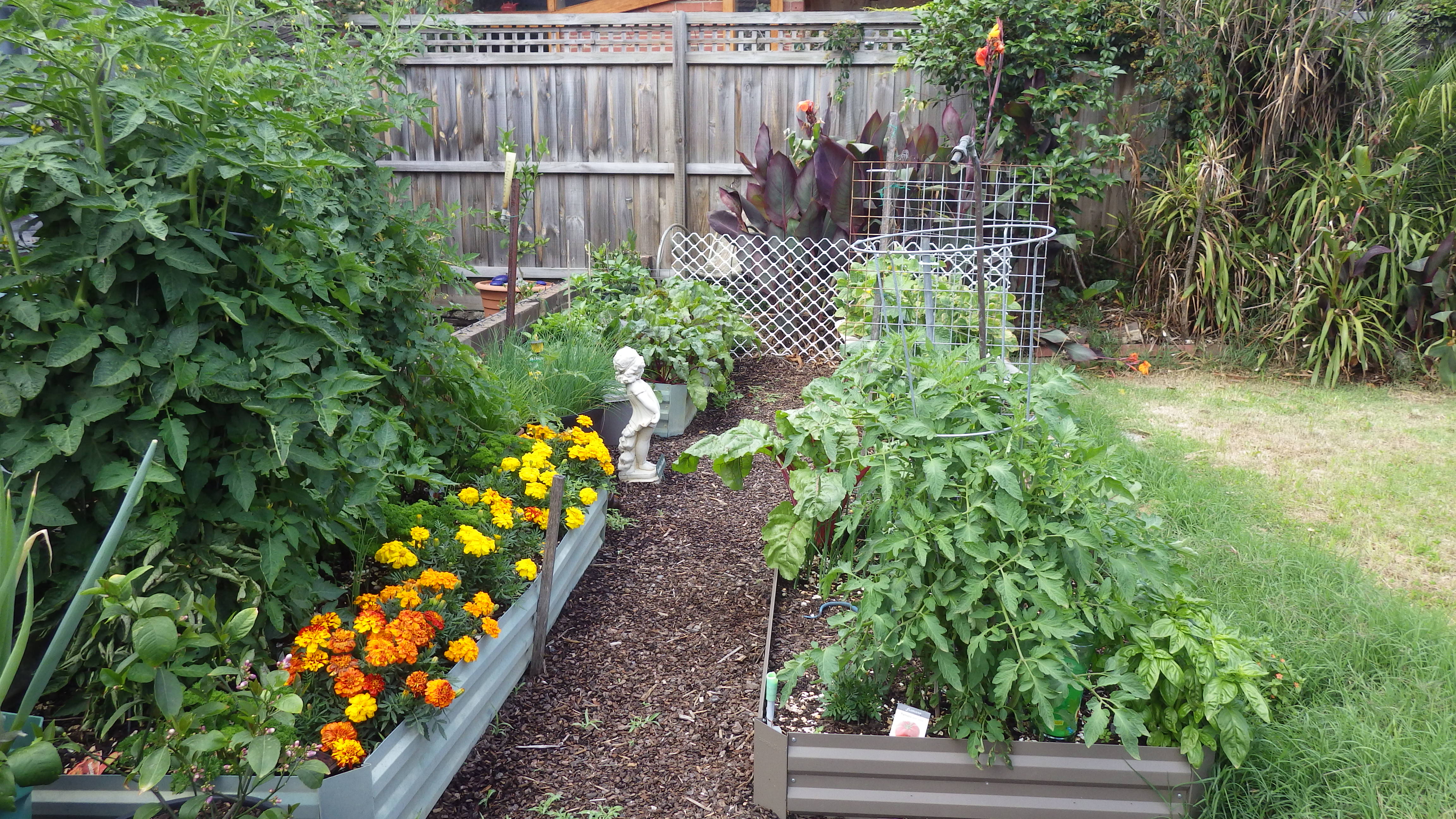 Garden Dec 2018 -  2.JPG