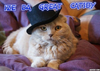 DA GREAT CATSBY.png