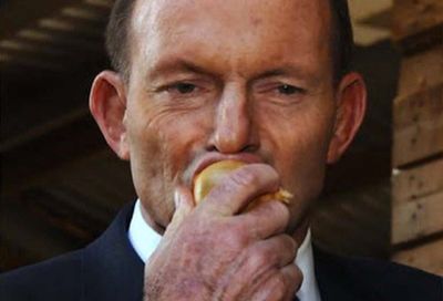 tony-abbott-onion-copy.jpg