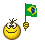 Flag - Brazil