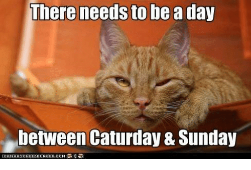there-needs-to-be-a-day-between-caturday-sunday-26566285.png