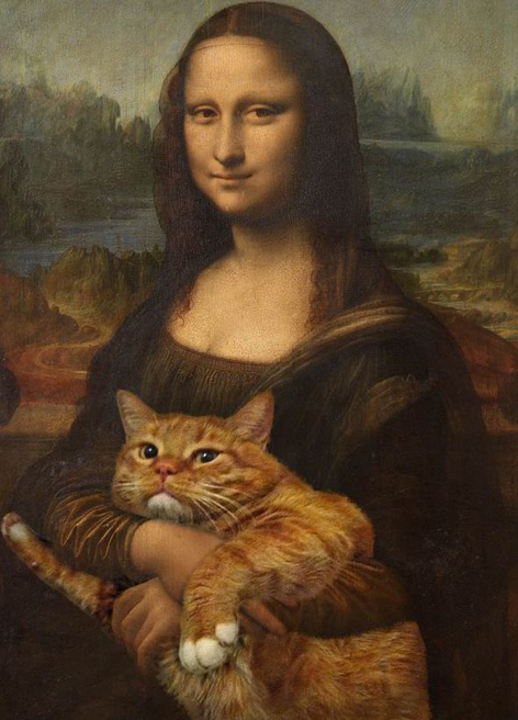 mona cat.jpg