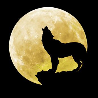 dog-clip-art-howl-at-the-moon.jpg