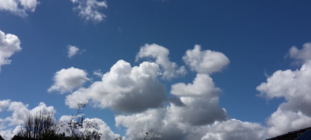 20190924_123310.jpg