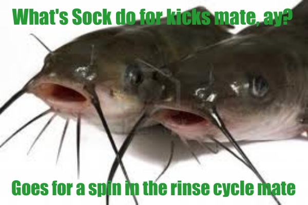 kicks.jpg