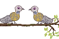 Two Turtle-Doves