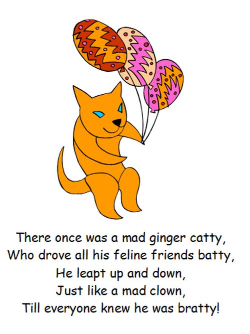 catty.jpg