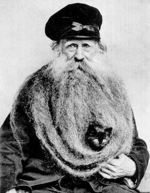 cat in his beard.jpg