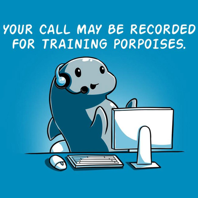 training-porpoises-.jpg