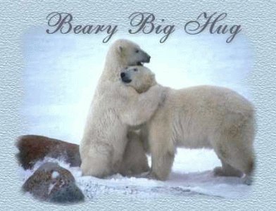 bear1.jpg