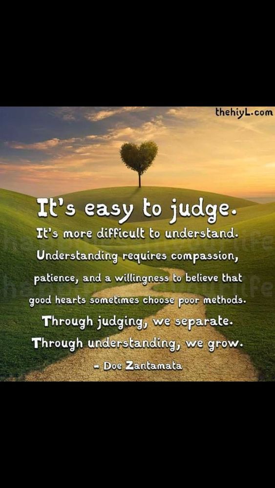 judge.jpg