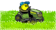 Padi's lawnmower (ride-on mower)