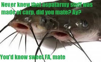 aspatarmy catfish.jpg