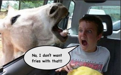 Fries.jpg