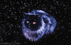 not_for_sale2021_1-1617929057040.gif