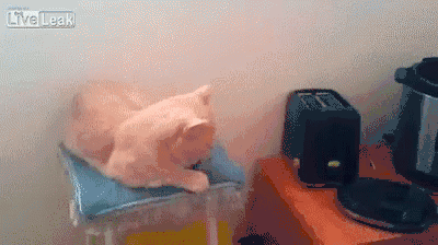 not_for_sale2021_0-1621664250365.gif