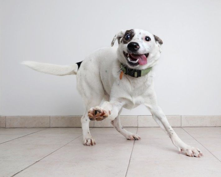 iStock-1001199382.jpg