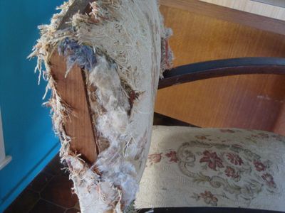 scratched chair 014.JPG