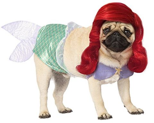 tasfleur_0-1634427634042.png