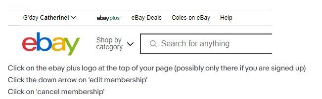 ebay plus 2.jpg