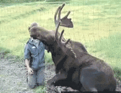 tasfleur_0-1643762552853.gif