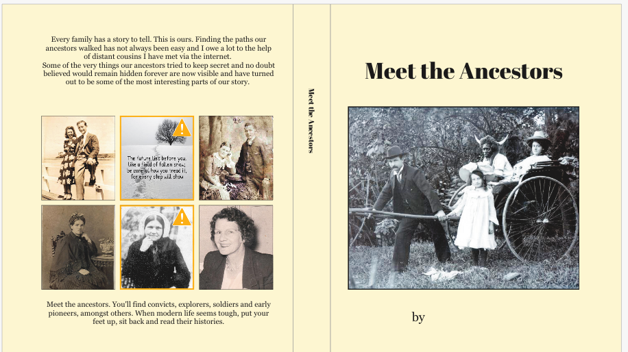 meet the ancestors book cover picture name removed.png