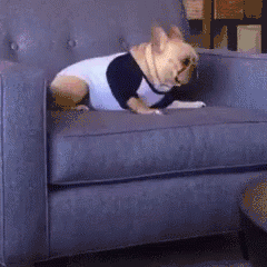 tasfleur_0-1647154197410.gif