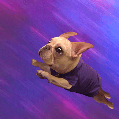 tasfleur_0-1649577301535.gif