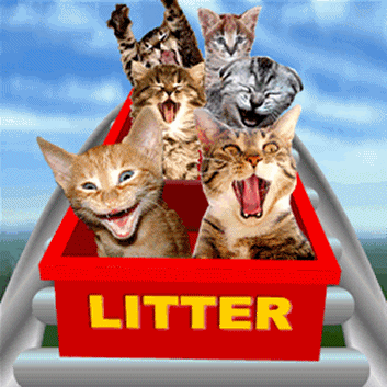cat11.gif