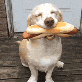 tasfleur_2-1658618992278.gif