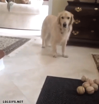 34cccd66713b8f891a2765b65e13e864.gif