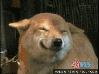 papermoonlady_0-1660418728859.gif