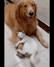 not_for_sale2022_1-1660447826436.gif