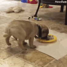not_for_sale2022_1-1662862079410.gif