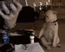 not_for_sale2022_2-1663474443534.gif