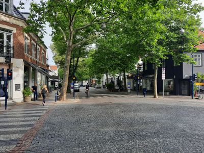 Shopping street, notice the stone road