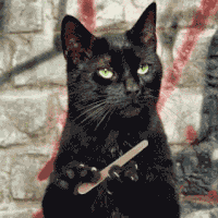 tasfleur_1-1705717597334.gif