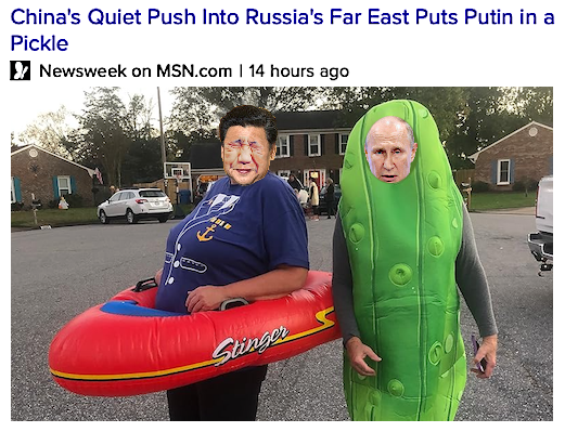 China Pickle.png
