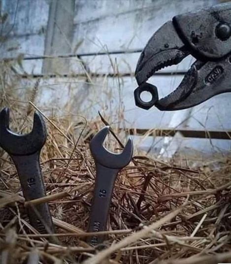 spanner chicks.jpg
