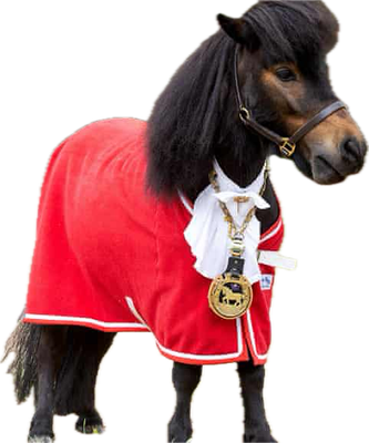 countessalmirena_1-1751615507426.png