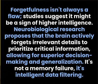 Screen Shot 2025-12-17 at 11.11.04.png