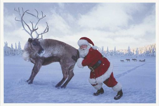 cd80509__74826 no 2.JPG