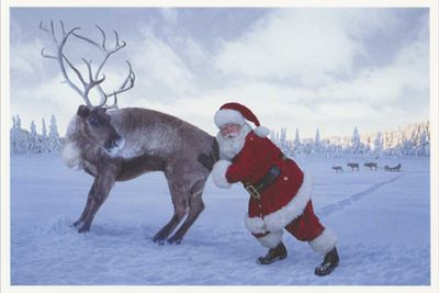 cd80509__74826 no 2.JPG