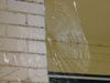 spider web.jpg