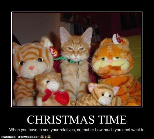 Christmas lol cat 1.JPG