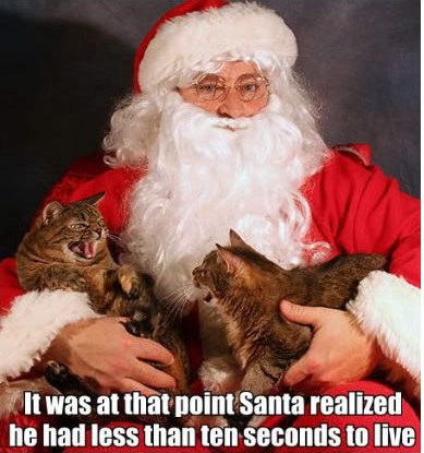 Christmas lol cat 3.JPG