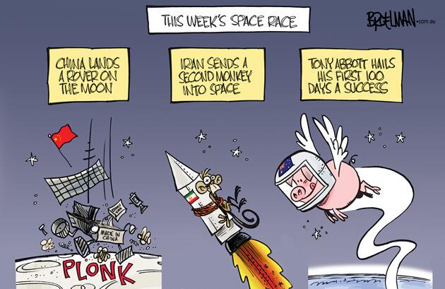 pigs.jpg