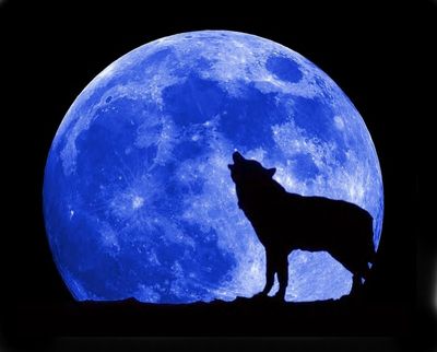 Blue Moon and Wolf.jpg