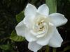 DSC00887.JPG