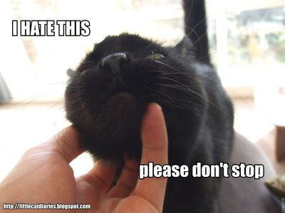 stop.jpg